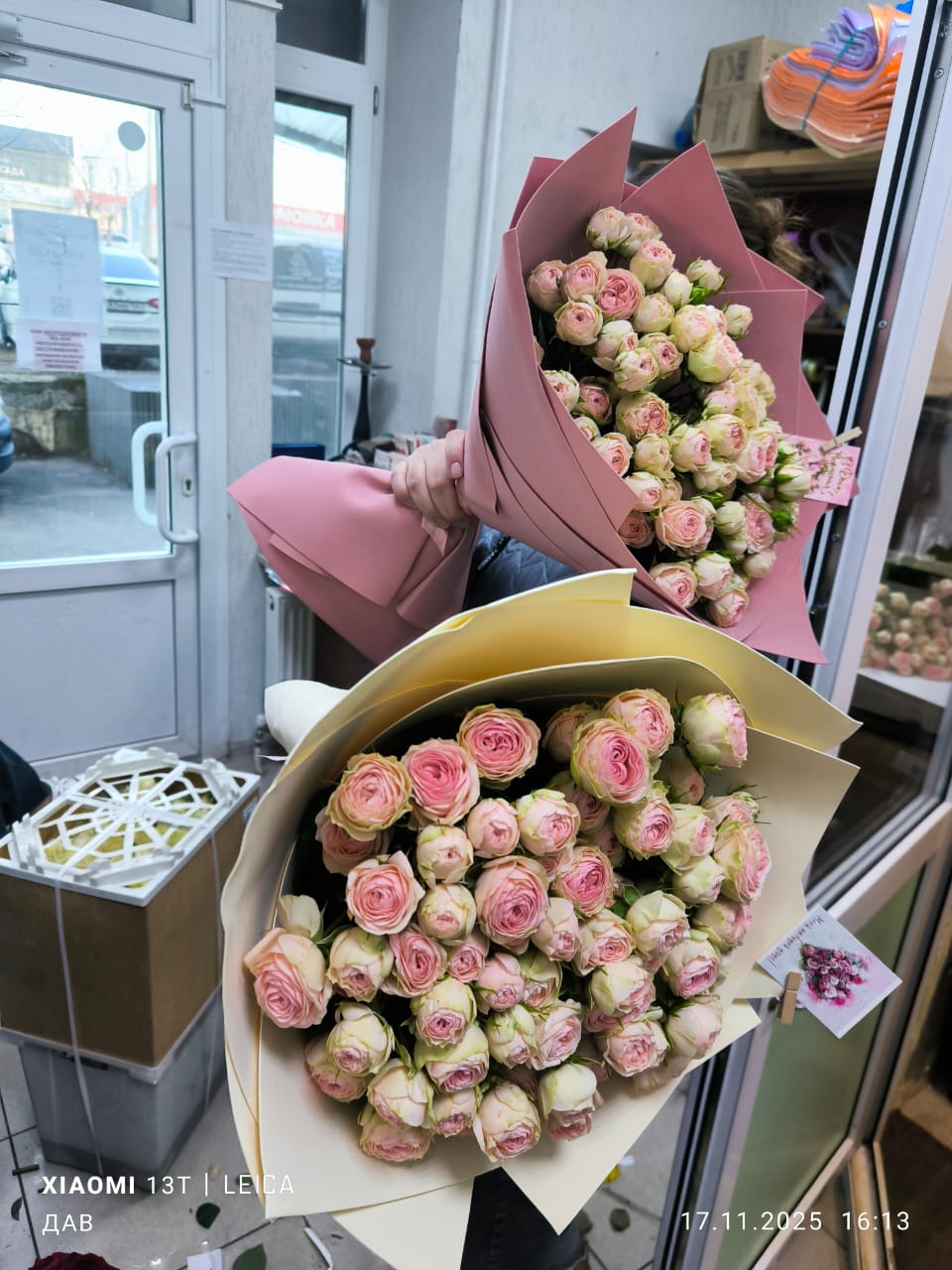 21 роза кустовая