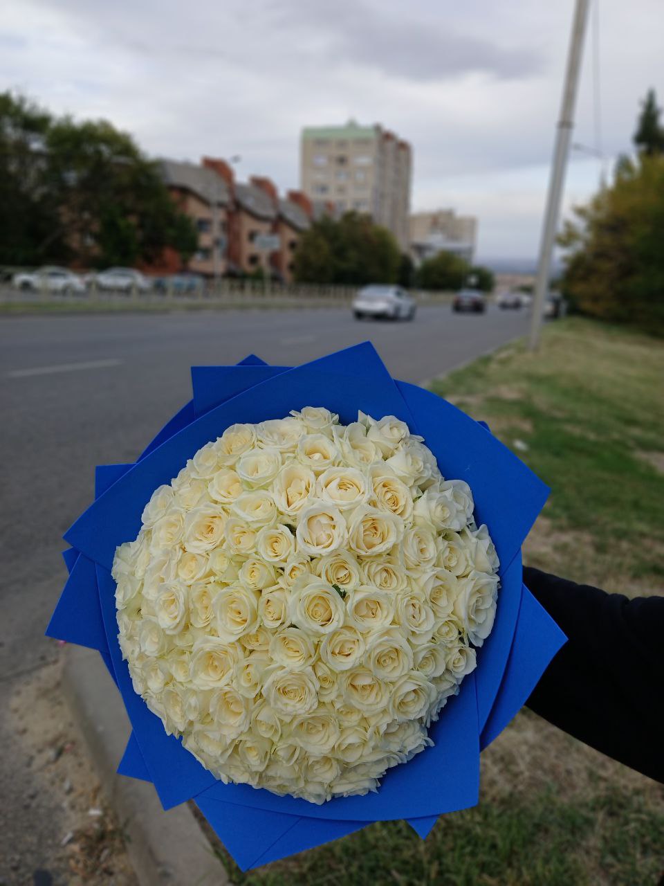 51 роза 30 сантиметров