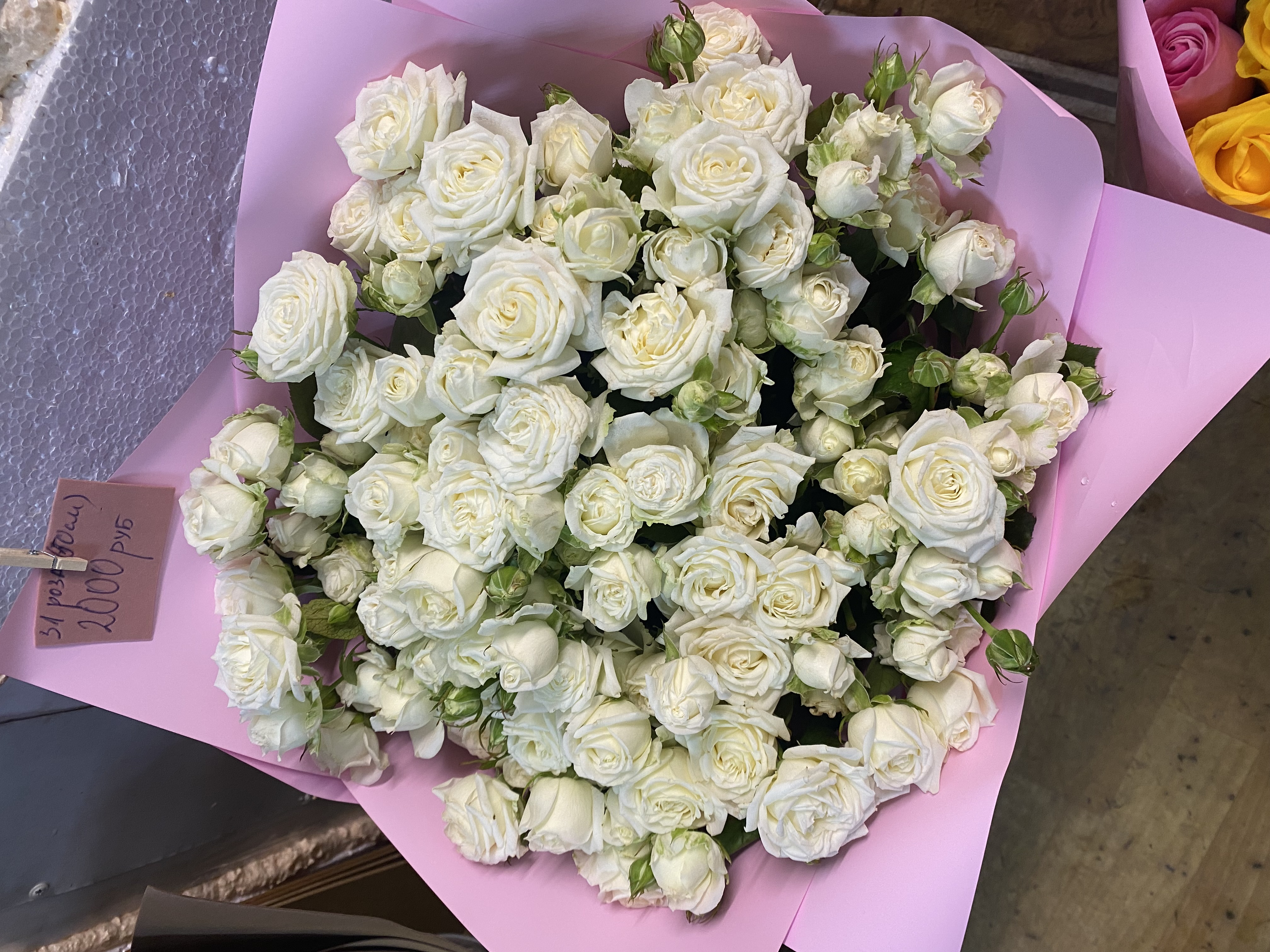 Букет 31 роза, 50 сантиметров🤍