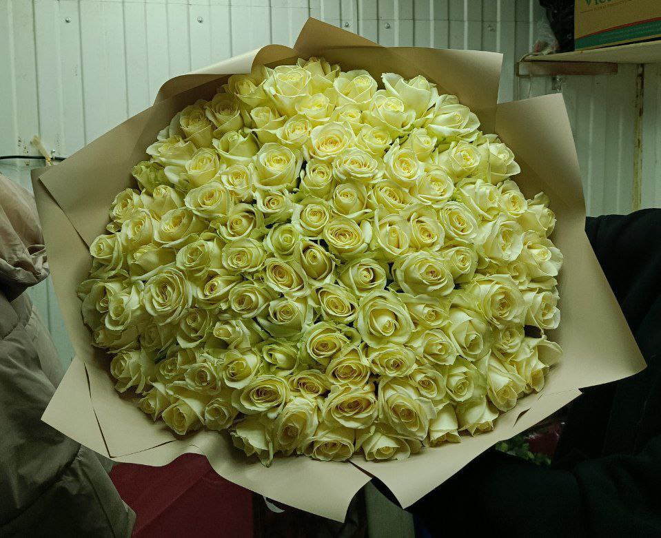 101 роза 60 см