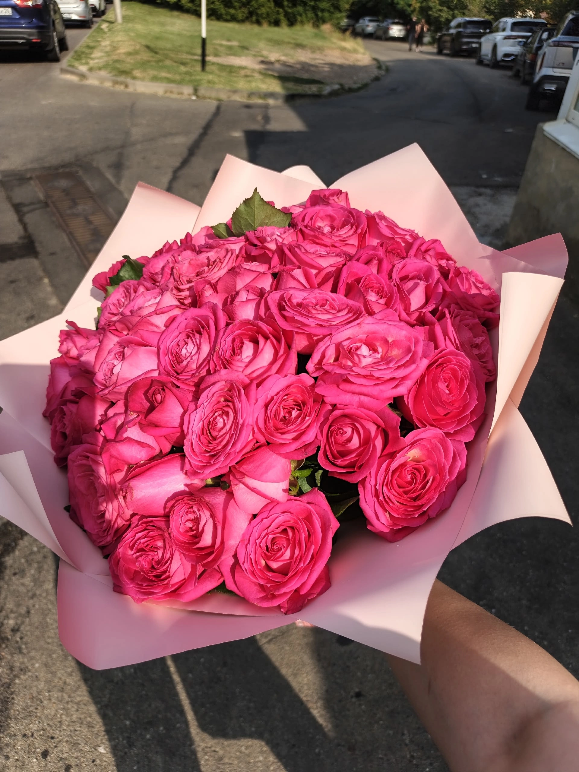 51 роза 40 сантиметров