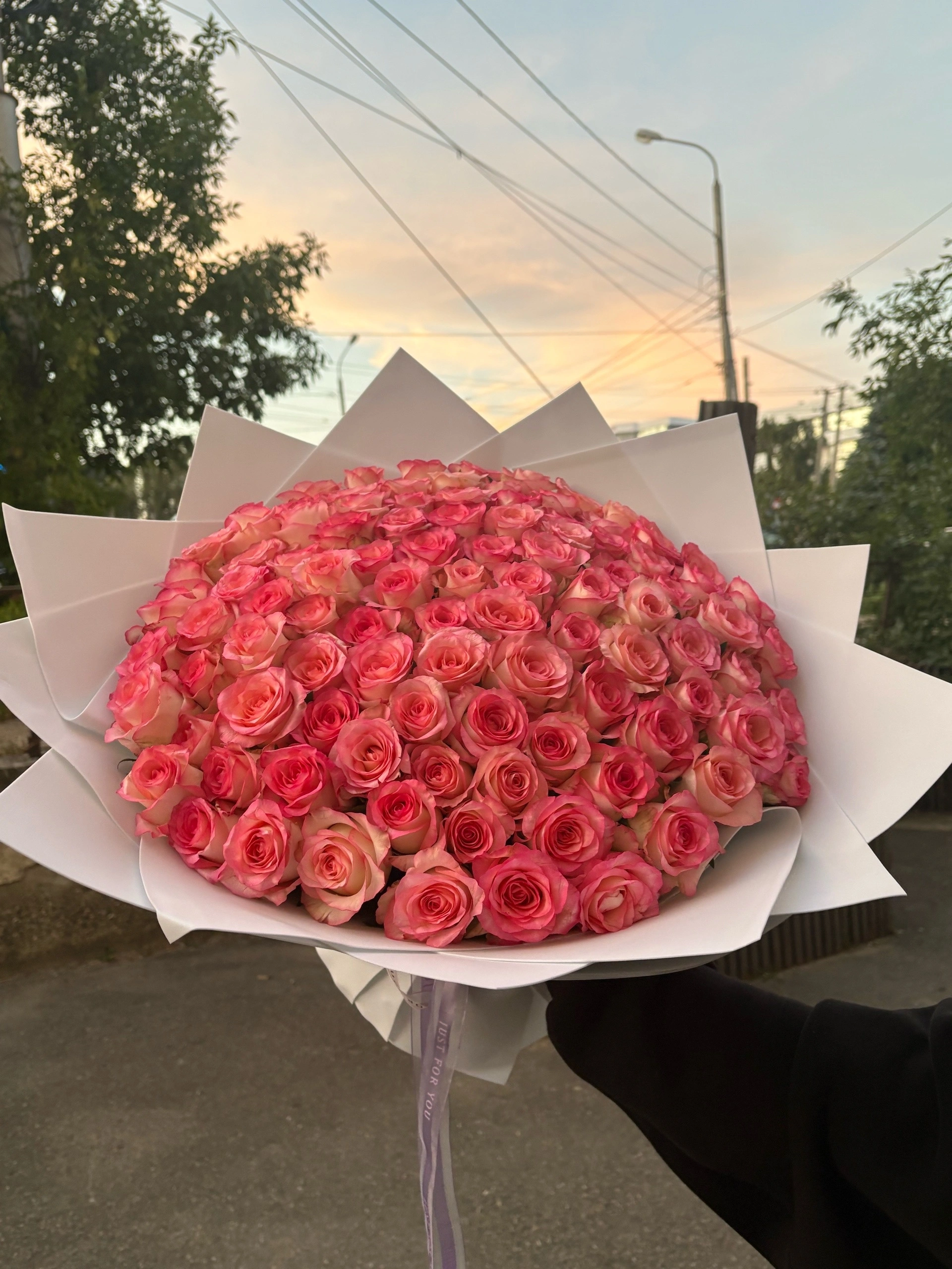 101 роза 40 сантиметров