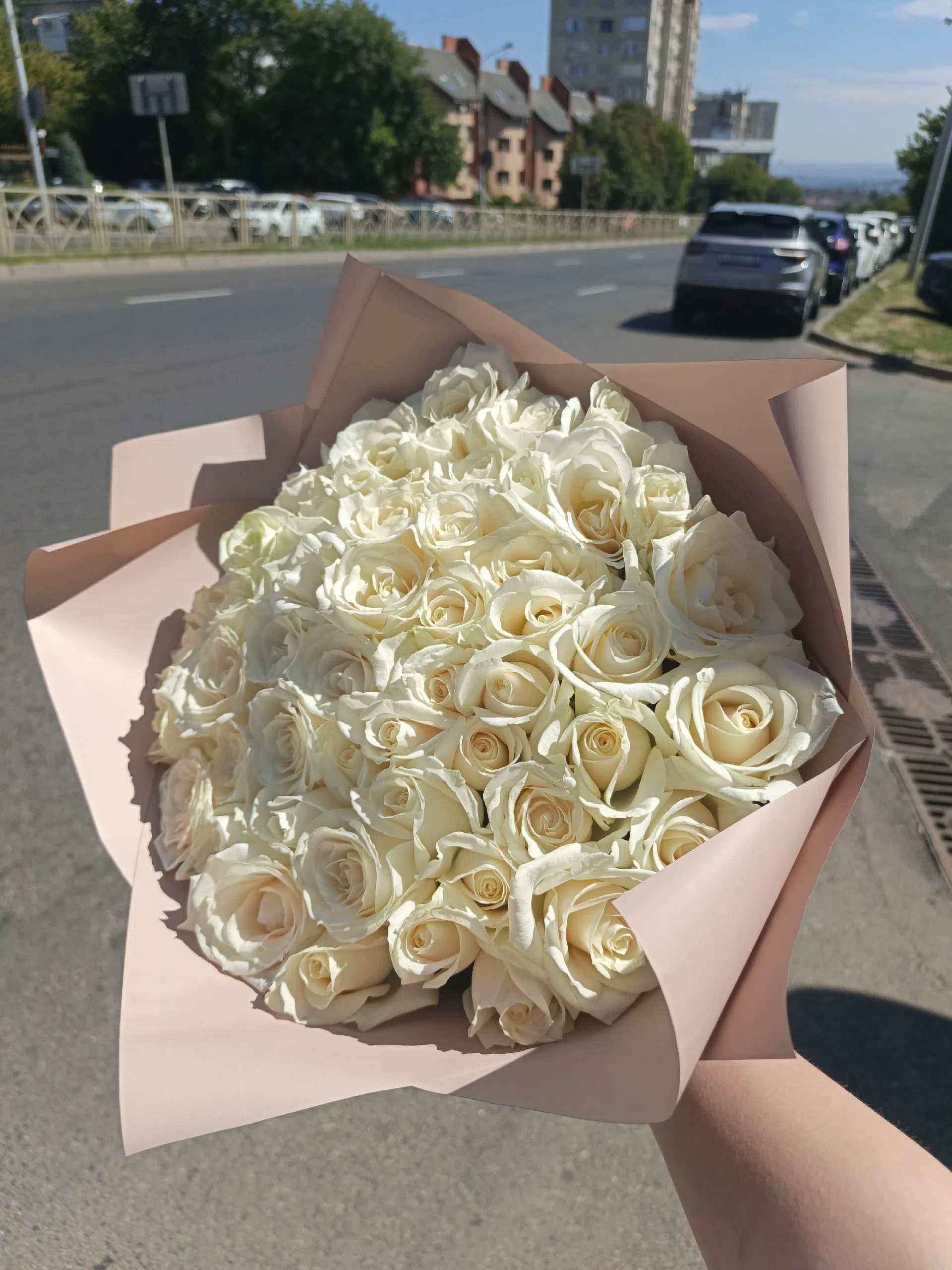 51 роза 40 сантиметров