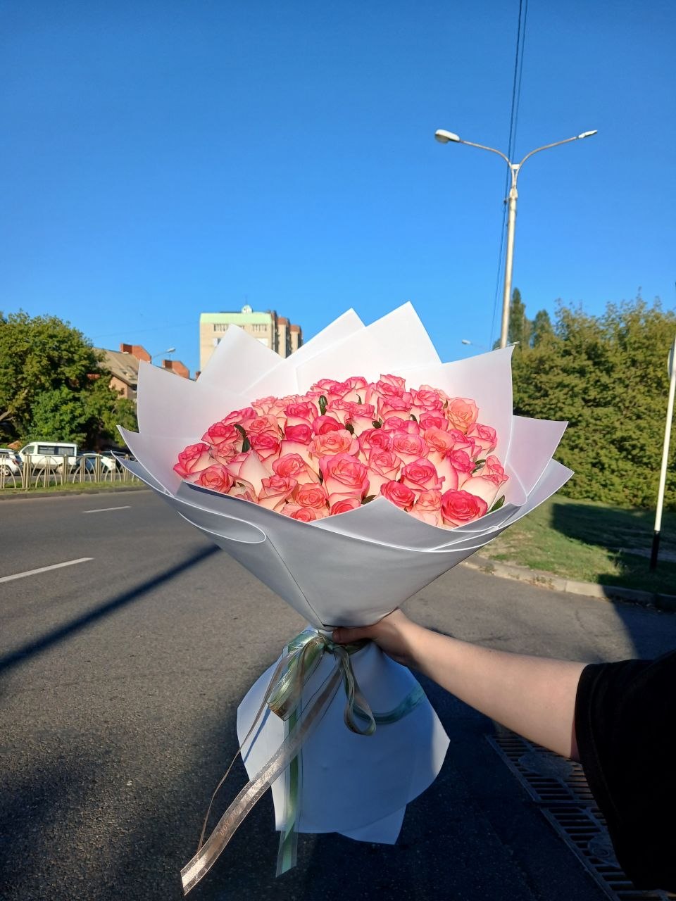 51 роза 50 сантиметров